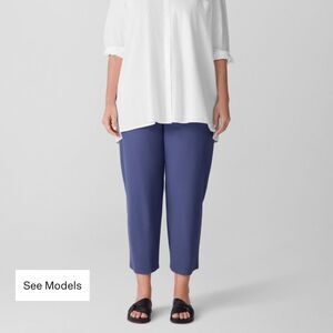 NWT Eileen Fisher Washable Stretch Crepe Slim Ankle Pant Bark Size 3X